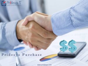 Pridesys-Purchase-768x576