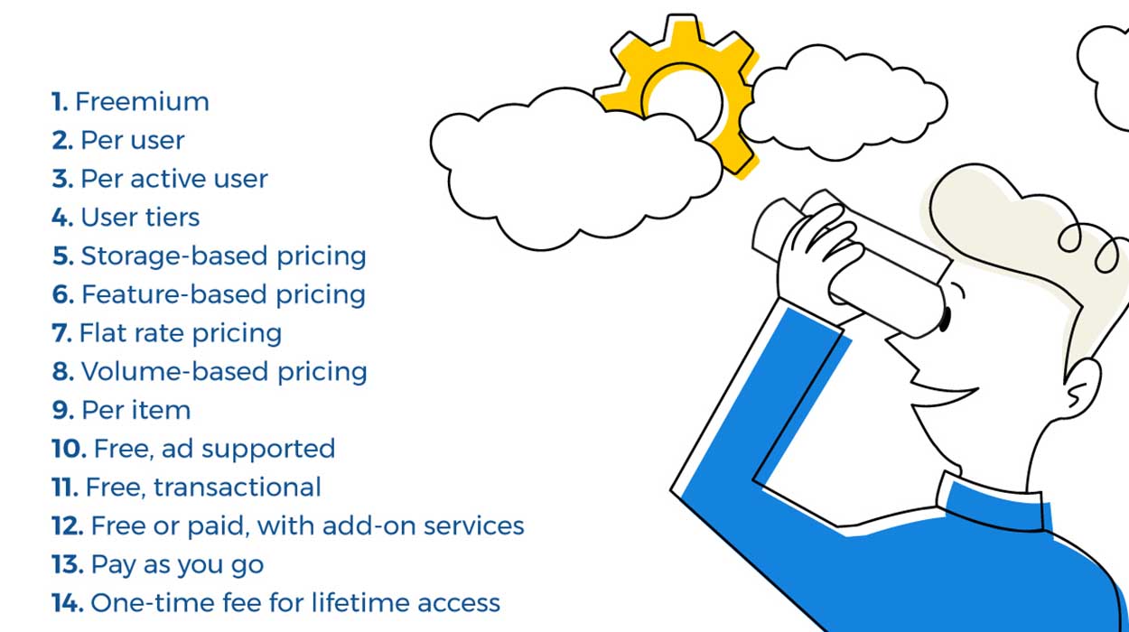 SaaS vs On-premise ERP Solutions
